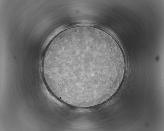 X0000114551243200911301217
