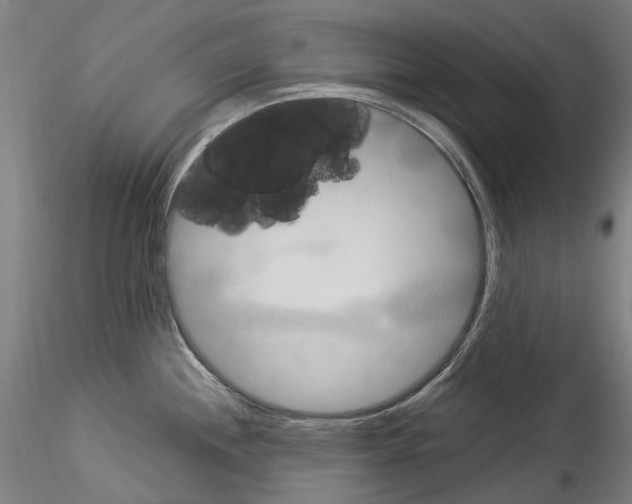 X0000114551244200911301217