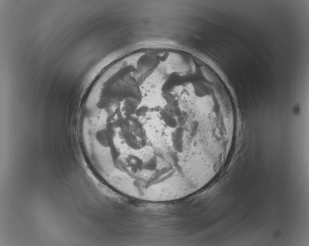 X0000114551245200911301217