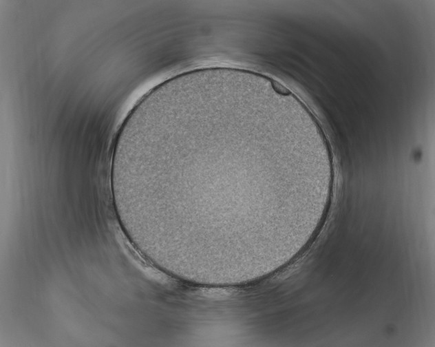 X0000114551246200911301217