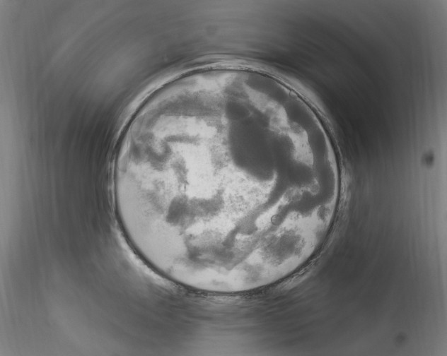 X0000114551247200911301217