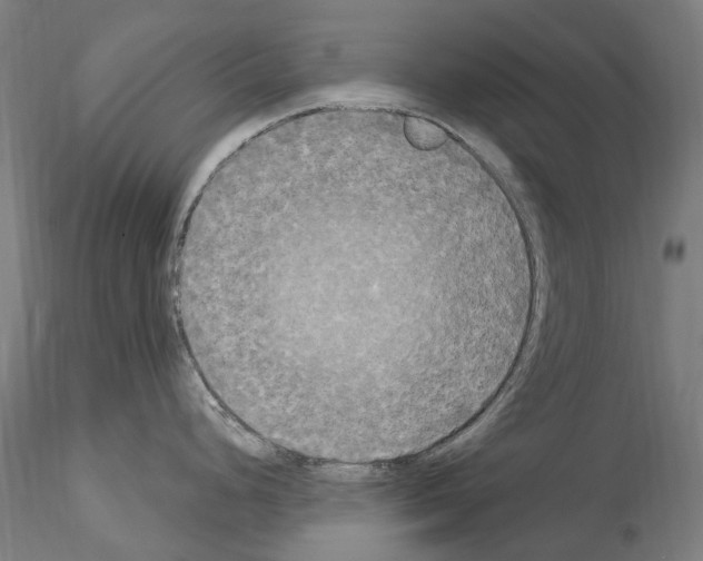 X0000114551248200911301217