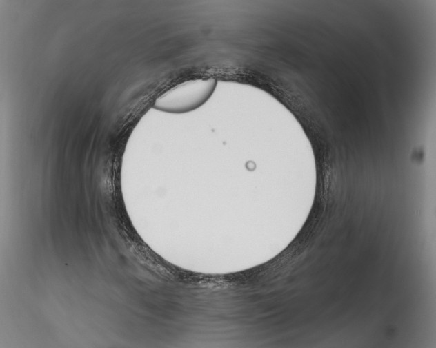 X0000114551250200911301217