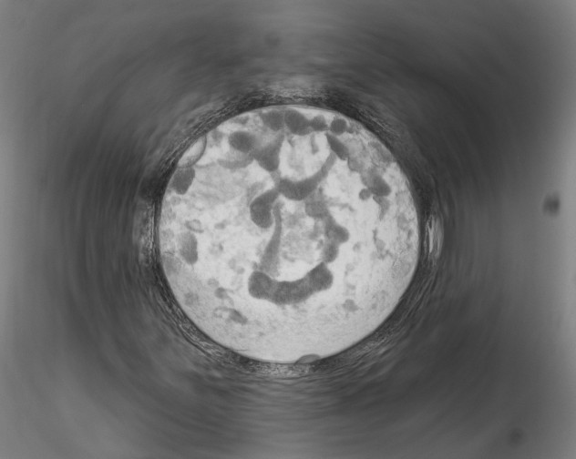 X0000114551251200911301217