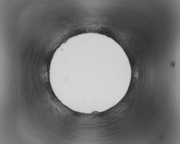 X0000114551252200911301217