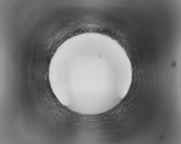 X0000114551253200911301217