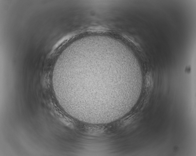 X0000114551254200911301217