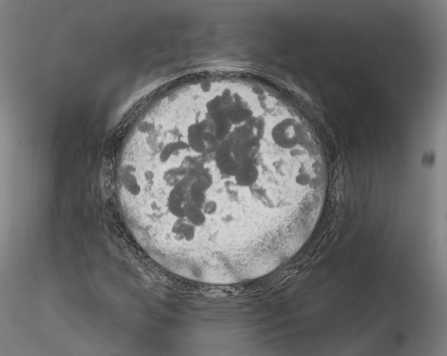 X0000114551255200911301216