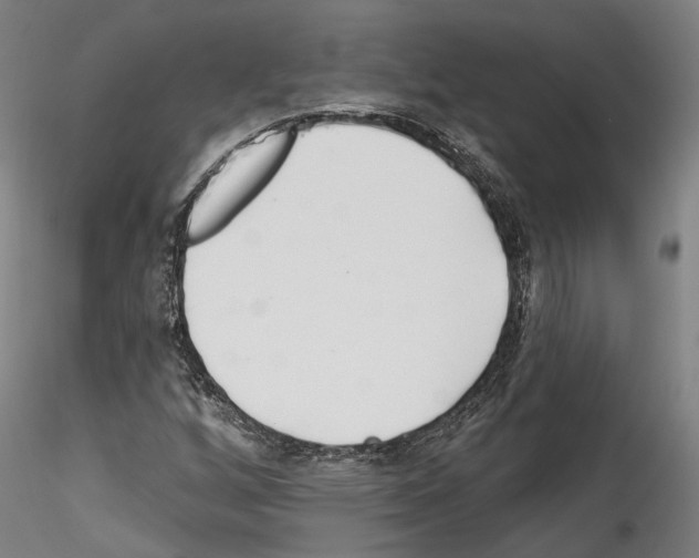 X0000114551256200911301216