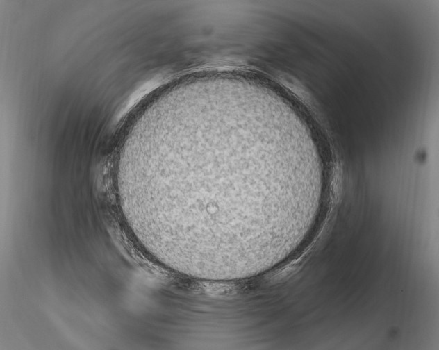 X0000114551258200911301216