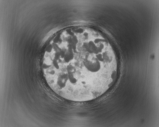 X0000114551259200911301216
