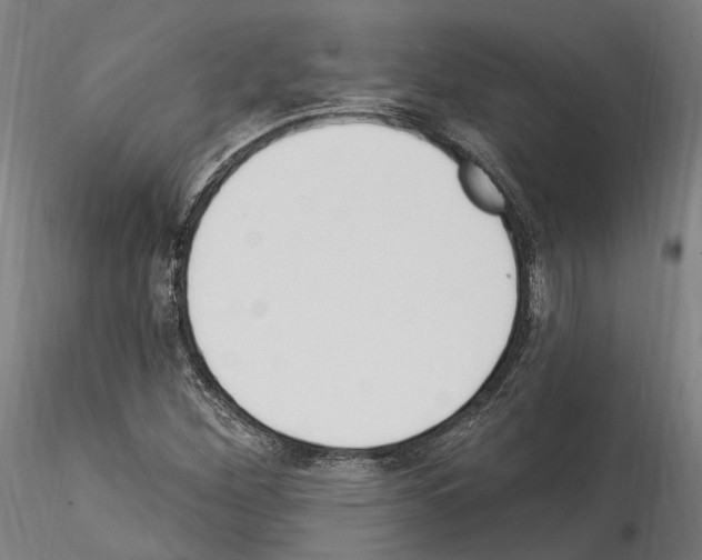 X0000114551260200911301216