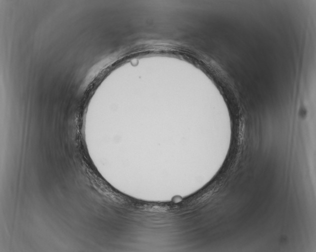 X0000114551261200911301216