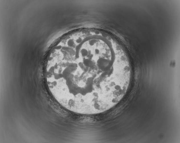X0000114551263200911301216