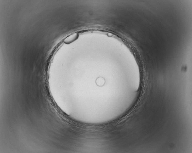X0000114551264200911301216