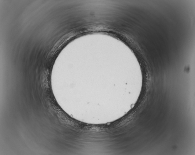 X0000114551265200911301216