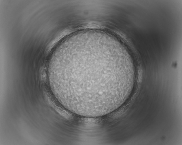 X0000114551266200911301216