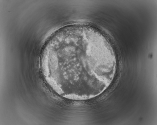 X0000114551267200911301216
