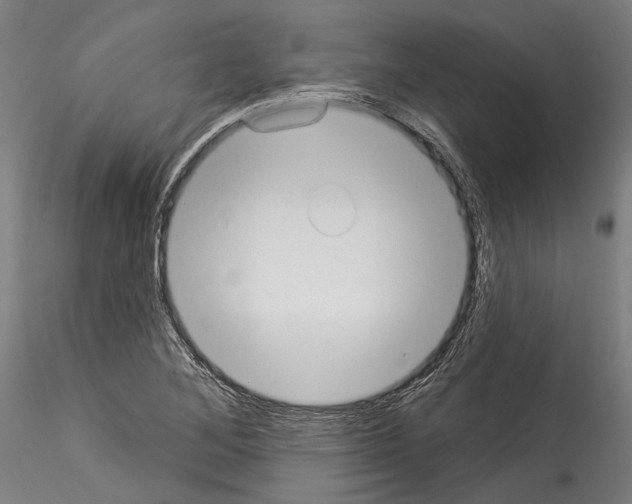 X0000114551268200911301216