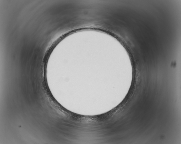 X0000114551270200911301216