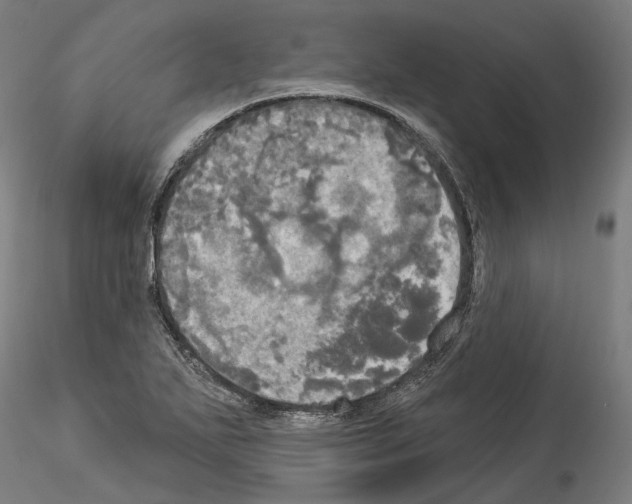 X0000114551271200911301216