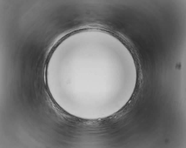 X0000114551272200911301216