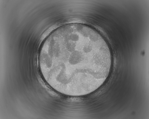 X0000114551274200911301216