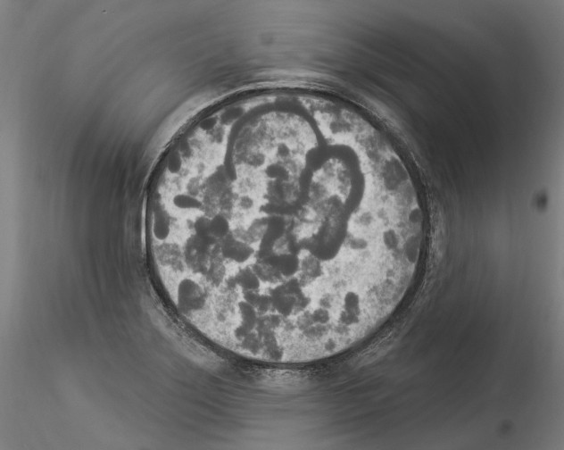 X0000114551275200911301216