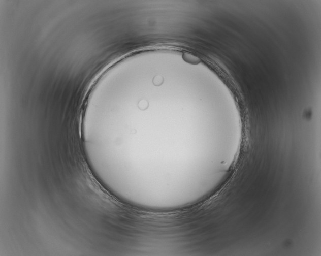 X0000114551276200911301216