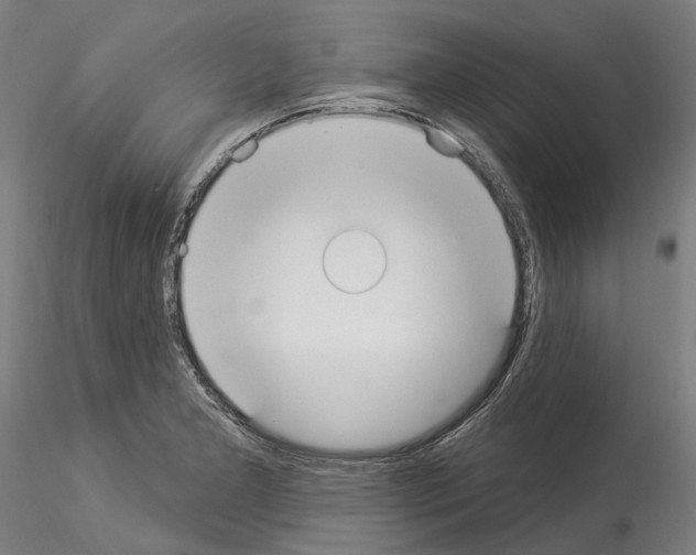 X0000114551277200911301216