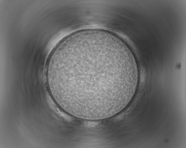 X0000114551278200911301216