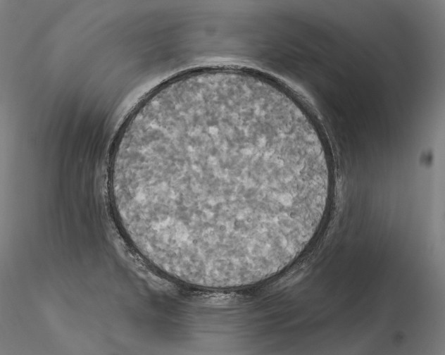 X0000114551279200911301216
