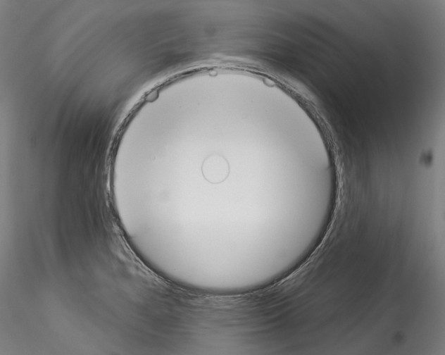 X0000114551280200911301216