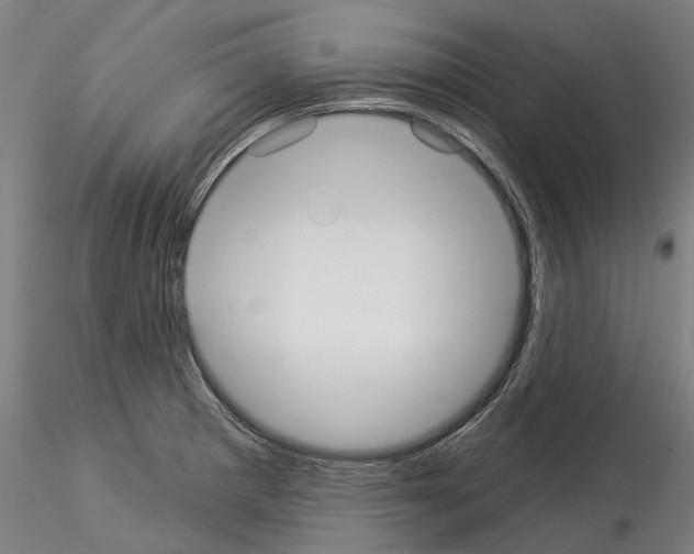 X0000114551281200911301216