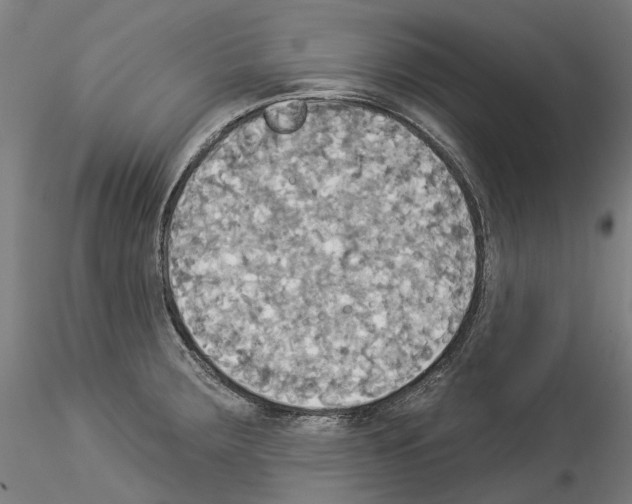 X0000114551283200911301216