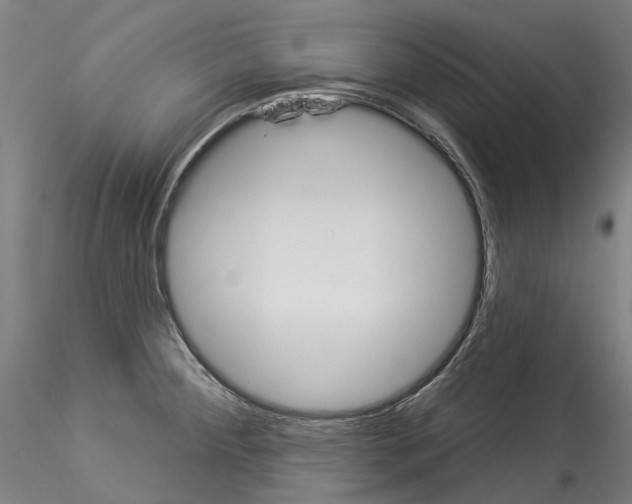 X0000114551284200911301216