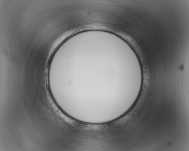 X0000114551286200911301216