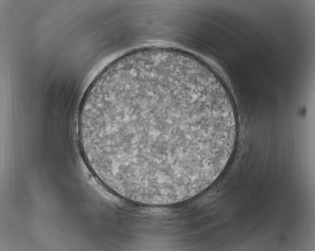 X0000114551287200911301216
