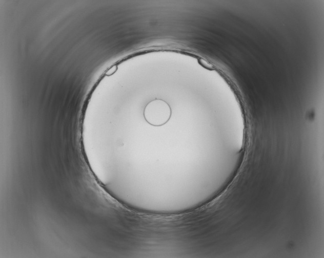 X0000114551288200911301216