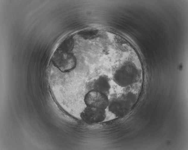 X0000114551291200911301216