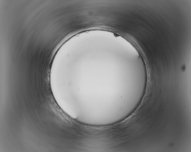 X0000114551292200911301216