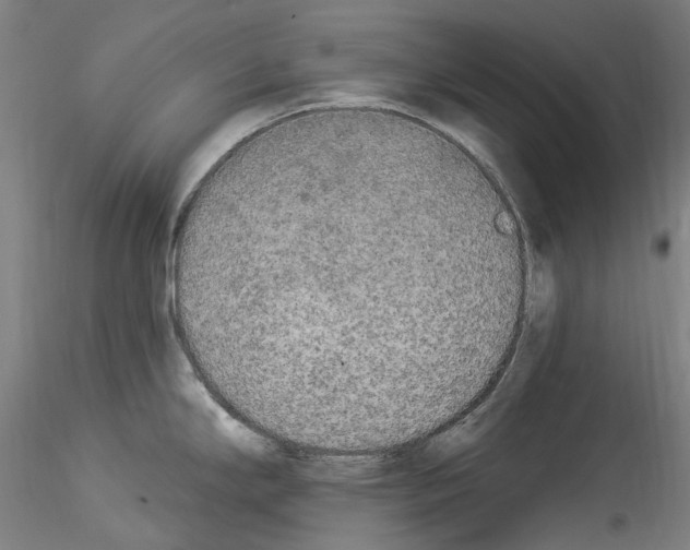 X0000114551294200911301216