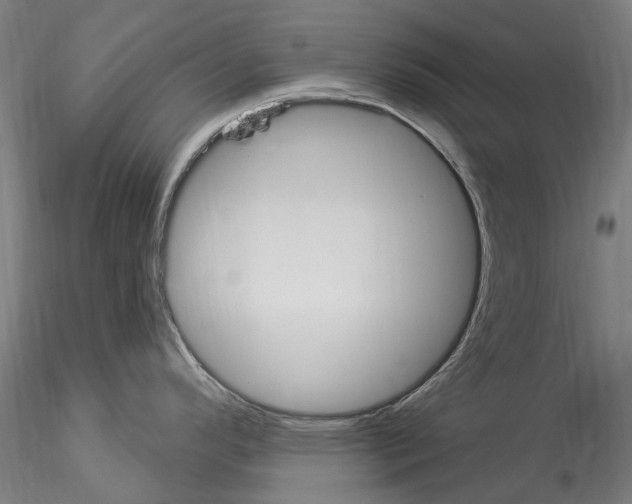 X0000114551296200911301216
