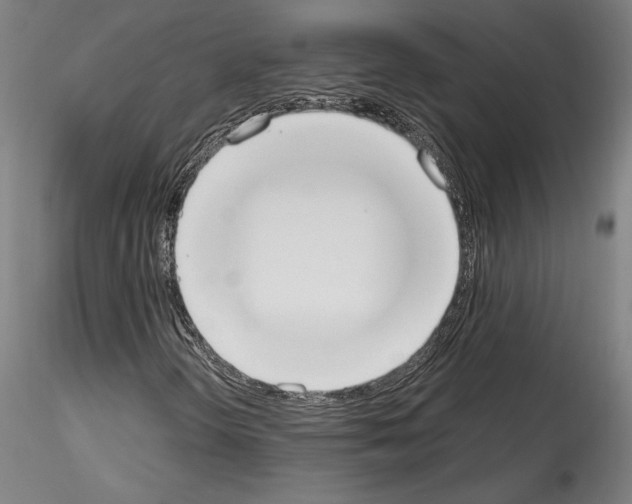 X0000114551298200911301215