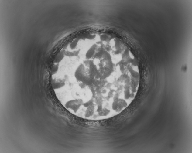 X0000114551302200911301215