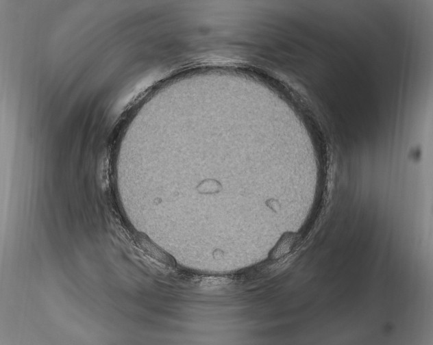 X0000114551306200911301215