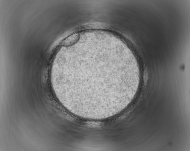 X0000114551309200911301215