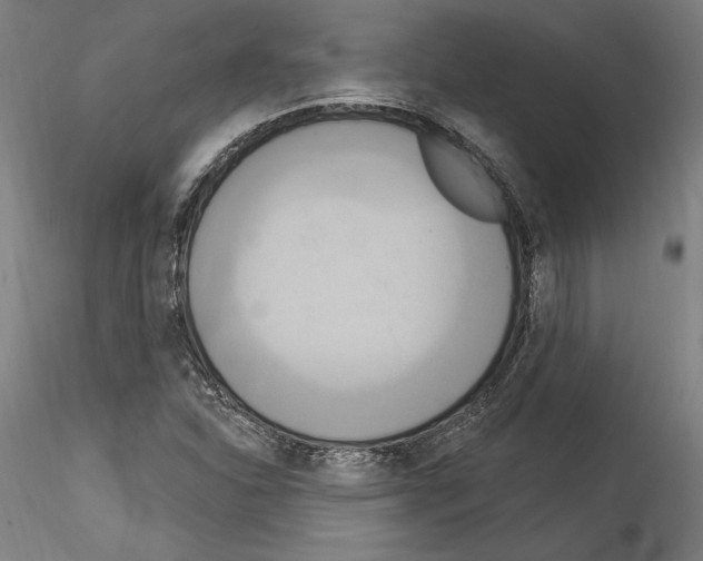 X0000114551310200911301215