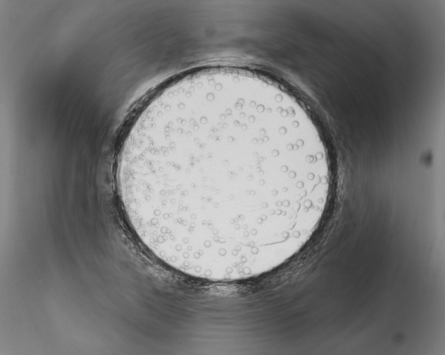 X0000114551315200911301216