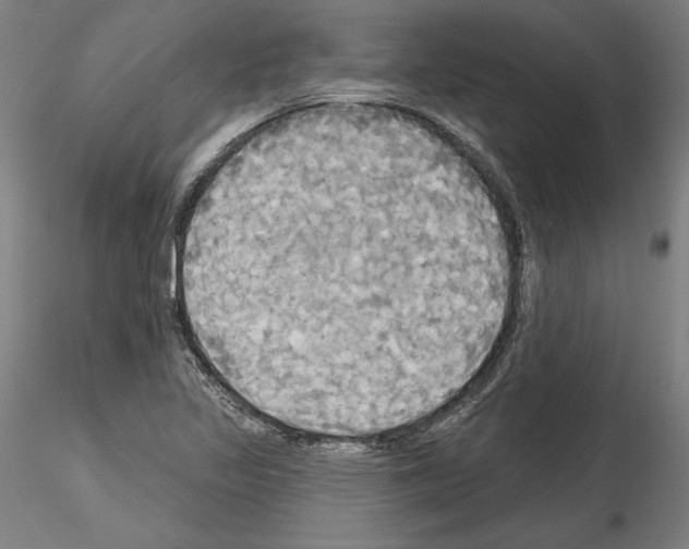 X0000114551317200911301216
